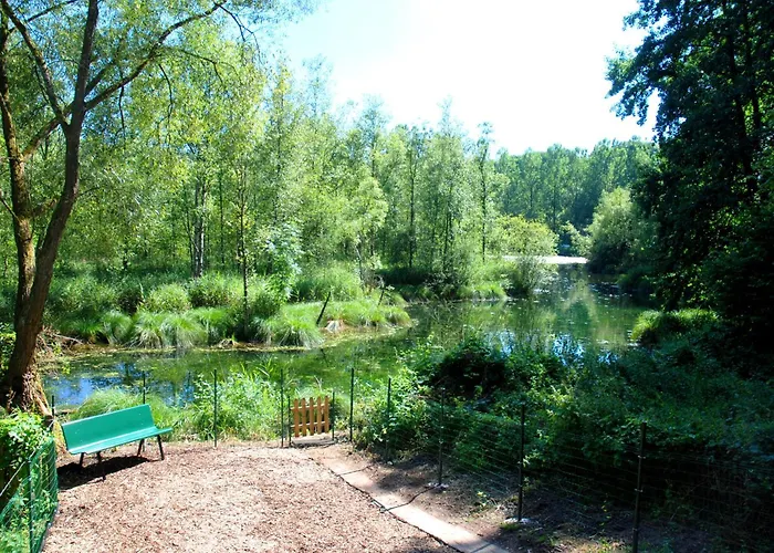 Hottonruy 4 Holiday home