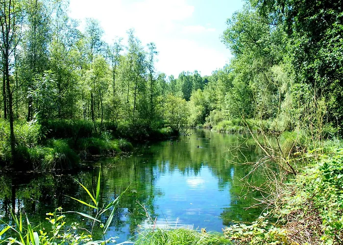 Hottonruy 4 Holiday home *